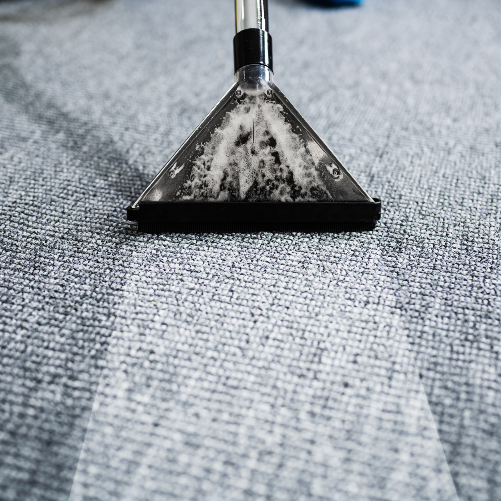 CleanTouch - Nettoyage tapis - Moquette